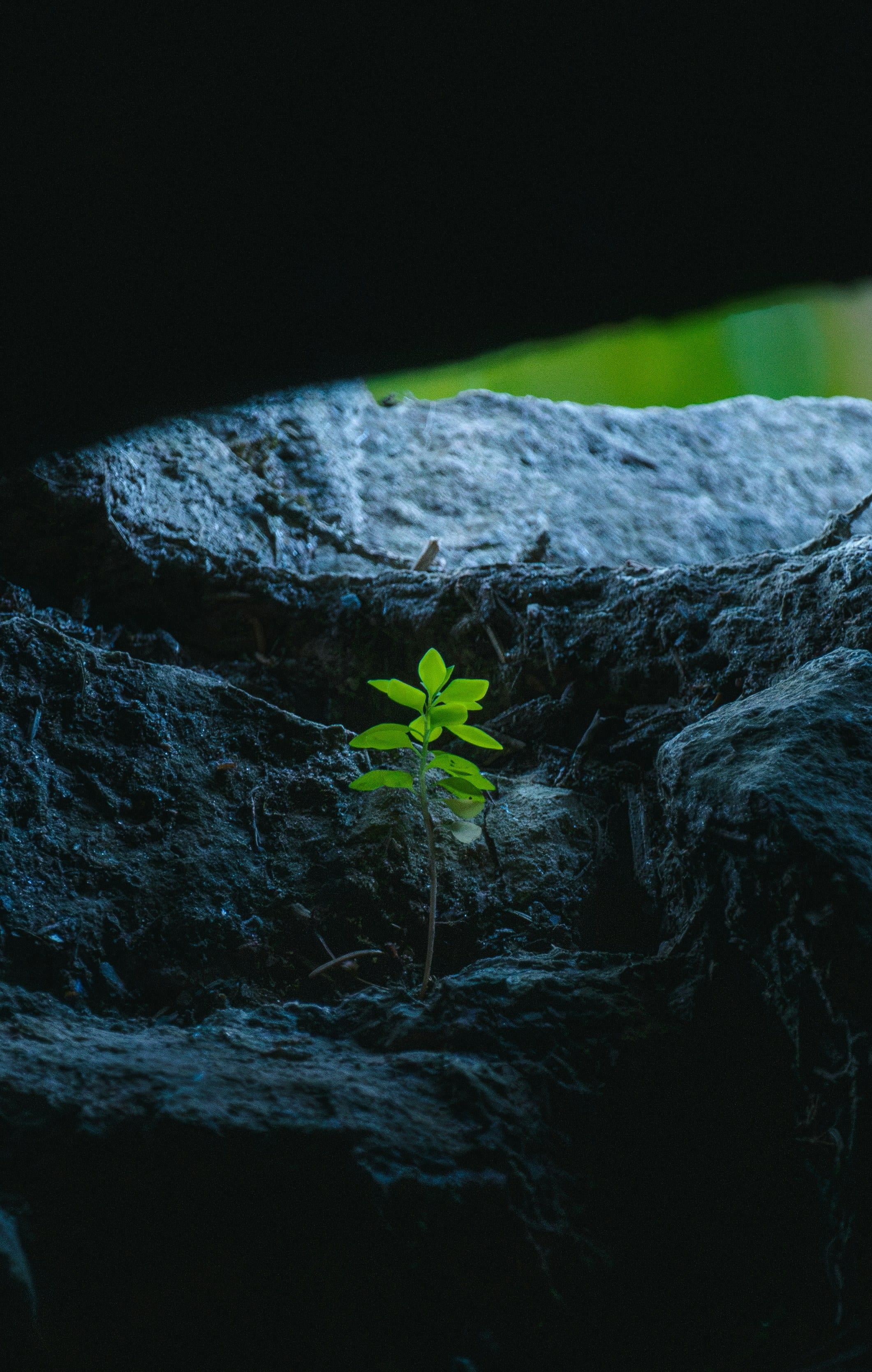 Ten Reasons Partners Expand SaaS Reach and How Partner.io Becomes the Backbone of a Scalable Program